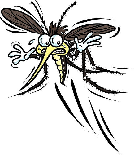 How Mosquitoes Suck Your Blood