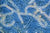 Natural Retinol Alternative Blue Green Algae