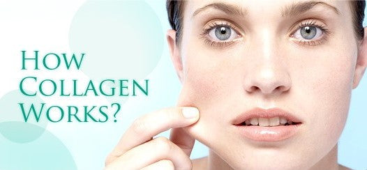 What is Collagen?