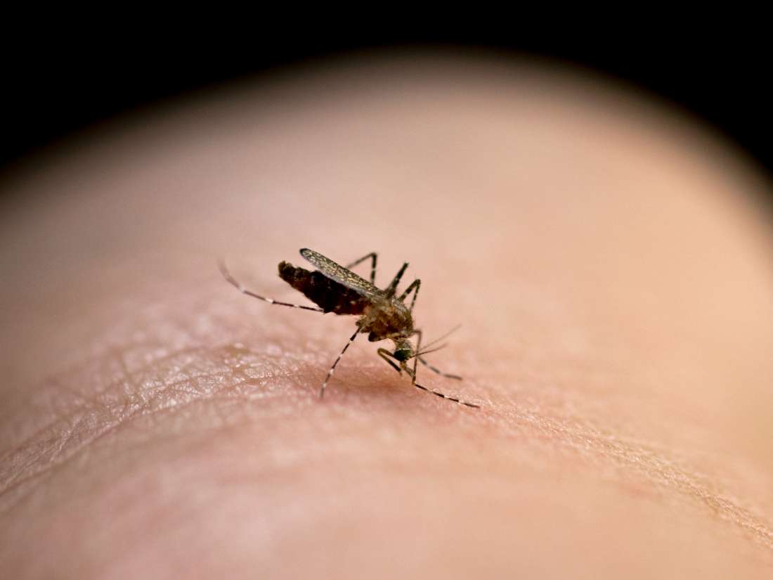 Why am I the only one getting bit by mosquito's