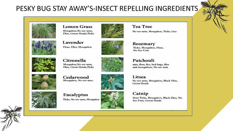 A PESKY®BUG AWAY - ALL IN ONE OUTDOOR SKIN SOLUTION WITH NON-NANO ZINC OXIDE