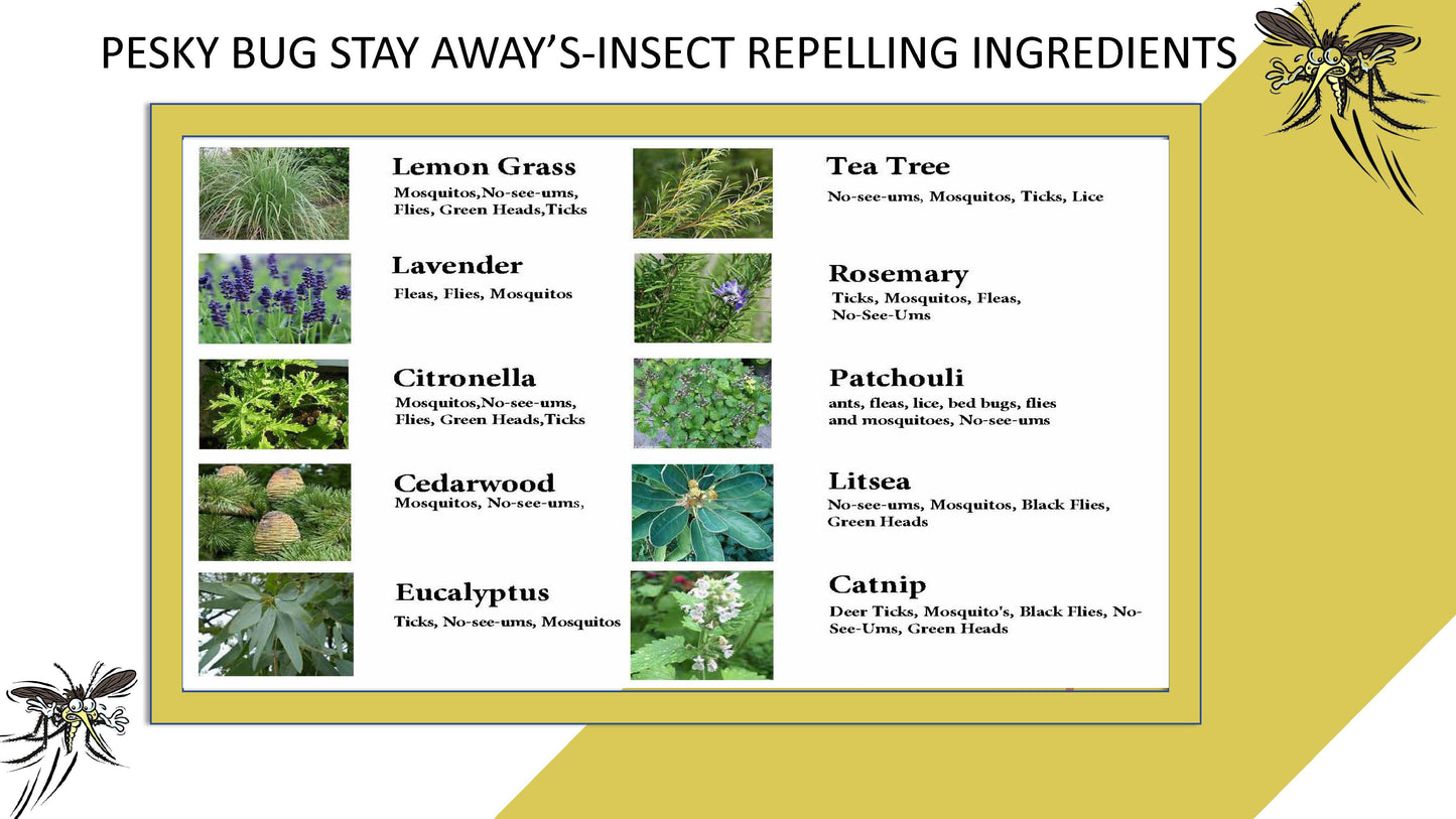 A PESKY® Bug Stay Away Spray and Natural Hydrating Skin Moisturizer